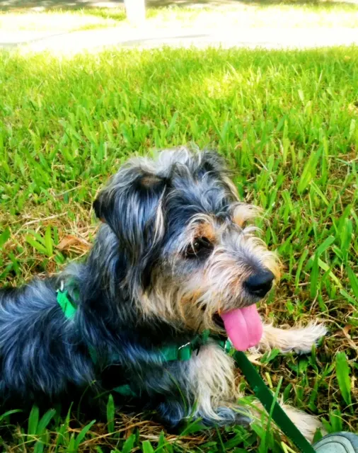 Prytania Veterinary Hospital — photo from the business 7