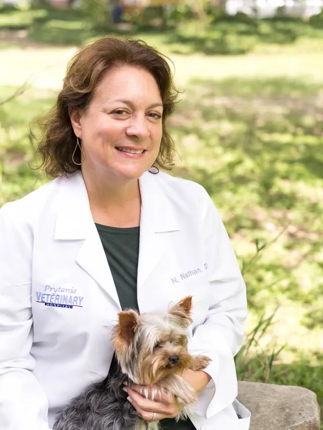 Prytania Veterinary Hospital — photo from the business 10