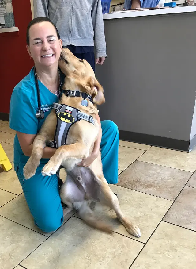 Prytania Veterinary Hospital — photo from the business 2