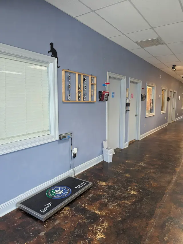 Animal Hospital of Old Metairie — customer photo 10