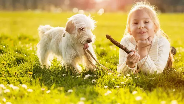 Animal Hospital of Old Metairie — photo from the business 8