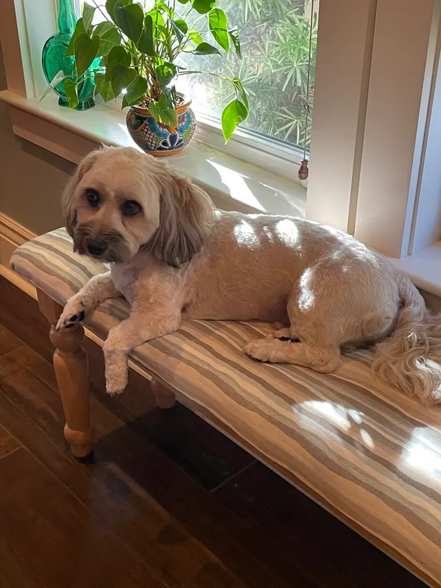 Levy Veterinary Hospital — customer photo 4