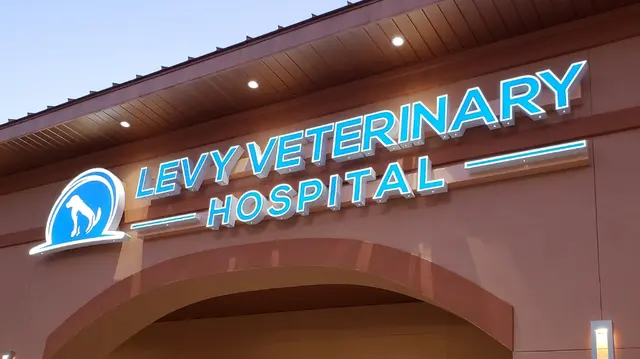 Levy Veterinary Hospital — photo from the business 1
