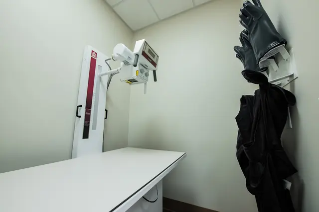 Levy Veterinary Hospital — photo from the business 11