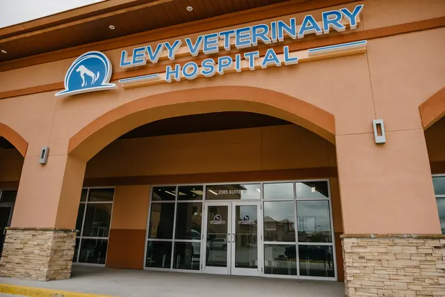 Levy Veterinary Hospital — photo from the business 2