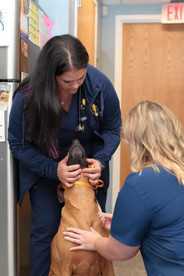 Clearview Veterinary Hospital — photo from the business 3