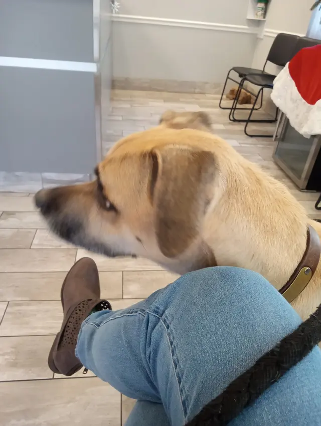 Clearview Veterinary Hospital — customer photo 7