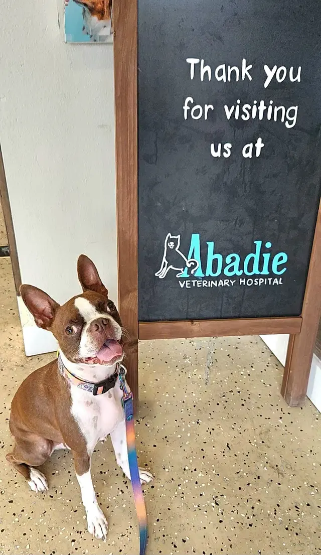Harahan Veterinary Hospital — customer photo 12