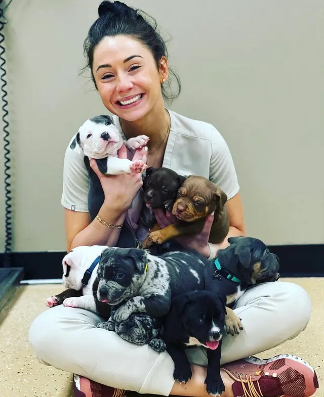 Harahan Veterinary Hospital — photo from the business 1
