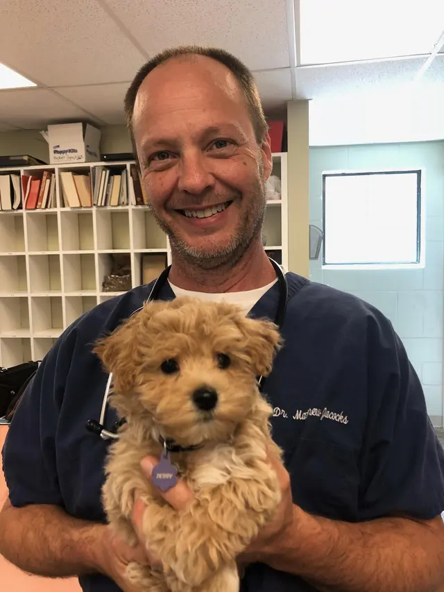 Hickory Knoll Veterinary Hospital — photo from the business 3
