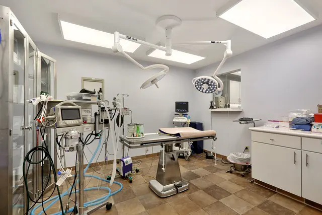 Chateau Veterinary Hospital — photo from the business 5