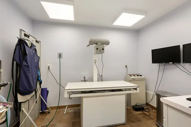 Chateau Veterinary Hospital — photo from the business 9