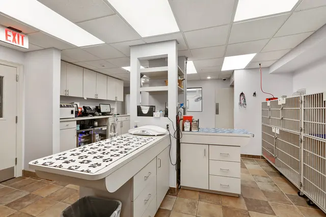 Chateau Veterinary Hospital — photo from the business 4