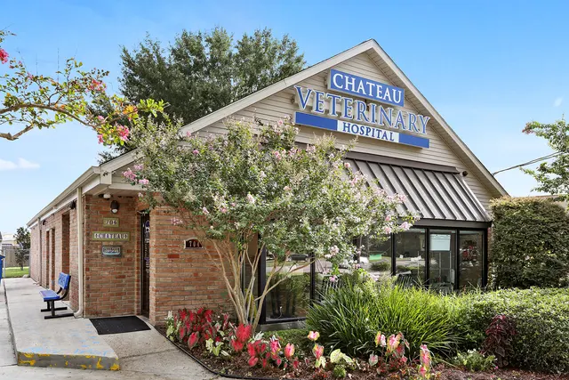 Chateau Veterinary Hospital — photo from the business 2