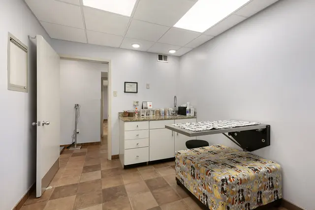 Chateau Veterinary Hospital — photo from the business 11