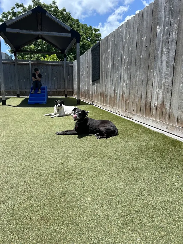 East Riverside Veterinary Hospital — customer photo 8