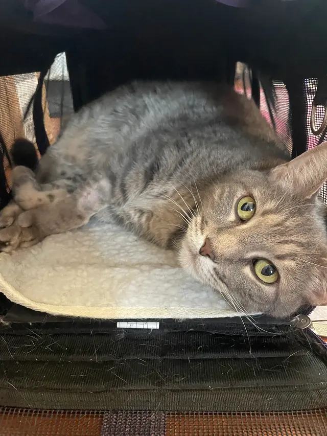 East Riverside Veterinary Hospital — customer photo 9