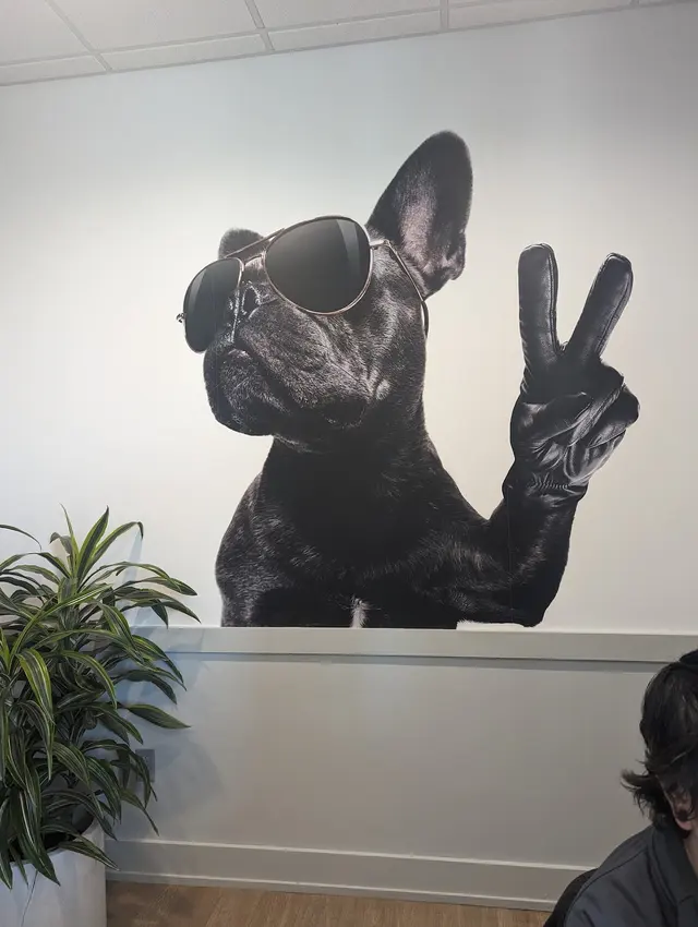 East Riverside Veterinary Hospital — customer photo 3