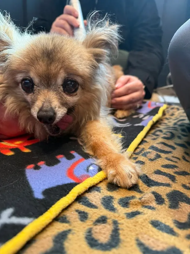 East Riverside Veterinary Hospital — customer photo 4