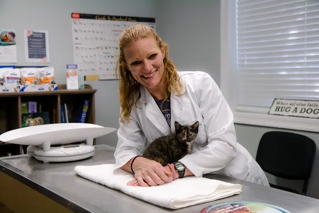 Healthy Paws Animal Hospital LLC — photo from the business 7
