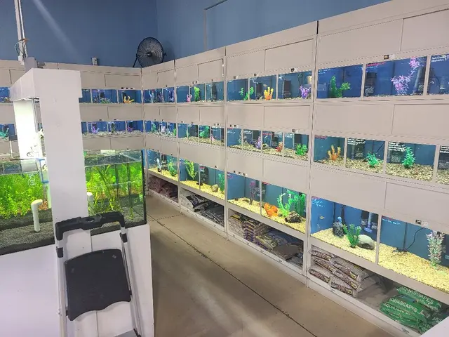Blue Reef Aquatics — photo from the business 2