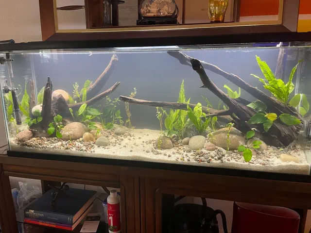 Blue Reef Aquatics — customer photo 3