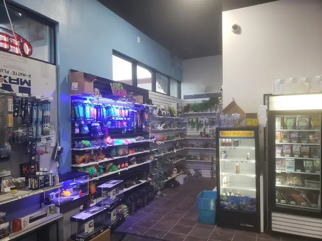 Blue Reef Aquatics — customer photo 11