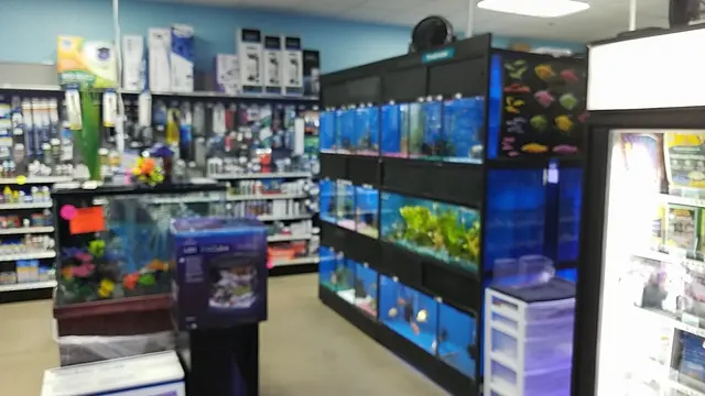 Blue Reef Aquatics — customer photo 10