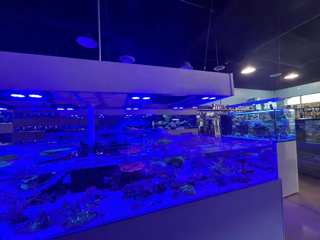 Blue Reef Aquatics — customer photo 7