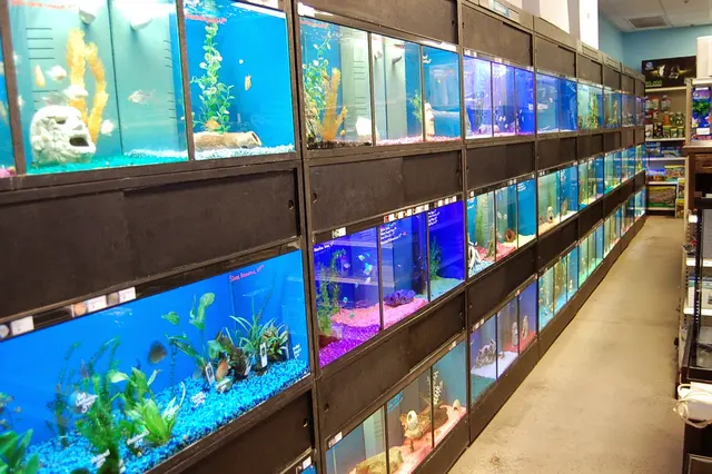Blue Reef Aquatics — customer photo 9