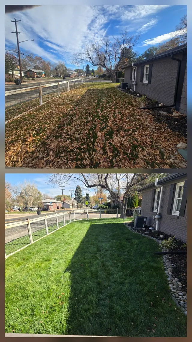 Main Options LLC — photo from the business 3