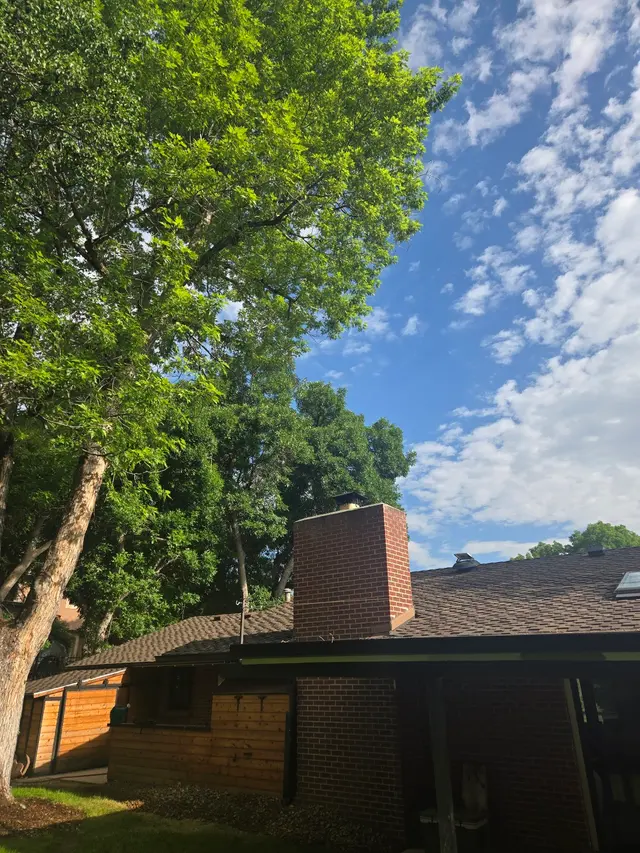 Main Options LLC — photo from the business 8
