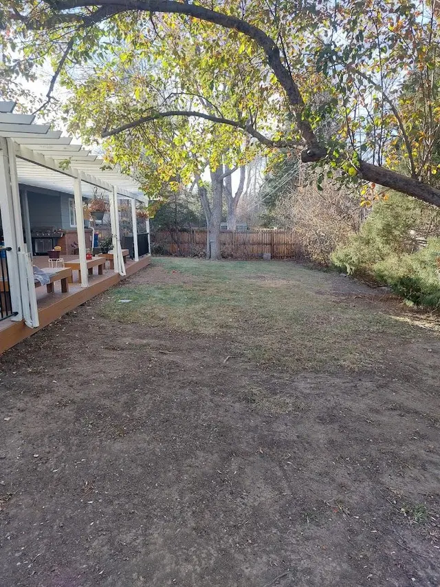 Main Options LLC — photo from the business 11