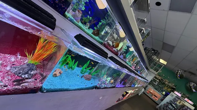 Trop Aquarium — customer photo 2