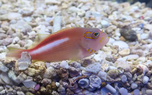 Trop Aquarium — customer photo 9