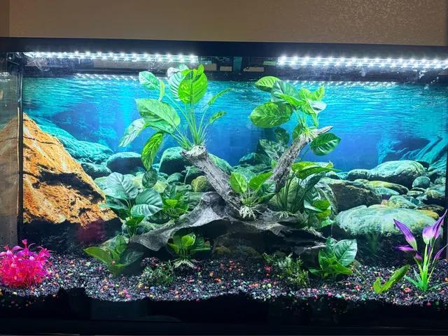 Trop Aquarium — customer photo 3