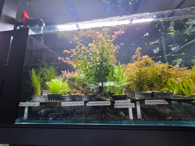 Trop Aquarium — customer photo 5