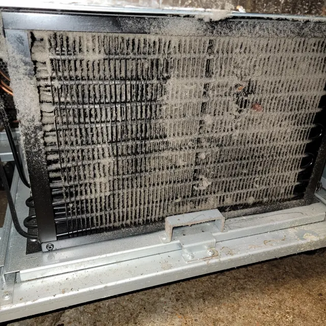 Mosley Appliance Repair — photo from the business 3