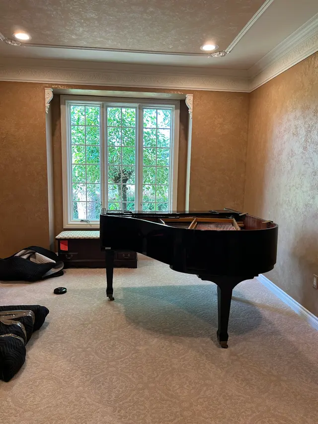 Professional Movers.com — customer photo 9