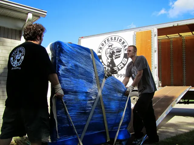 Professional Movers.com — photo from the business 6