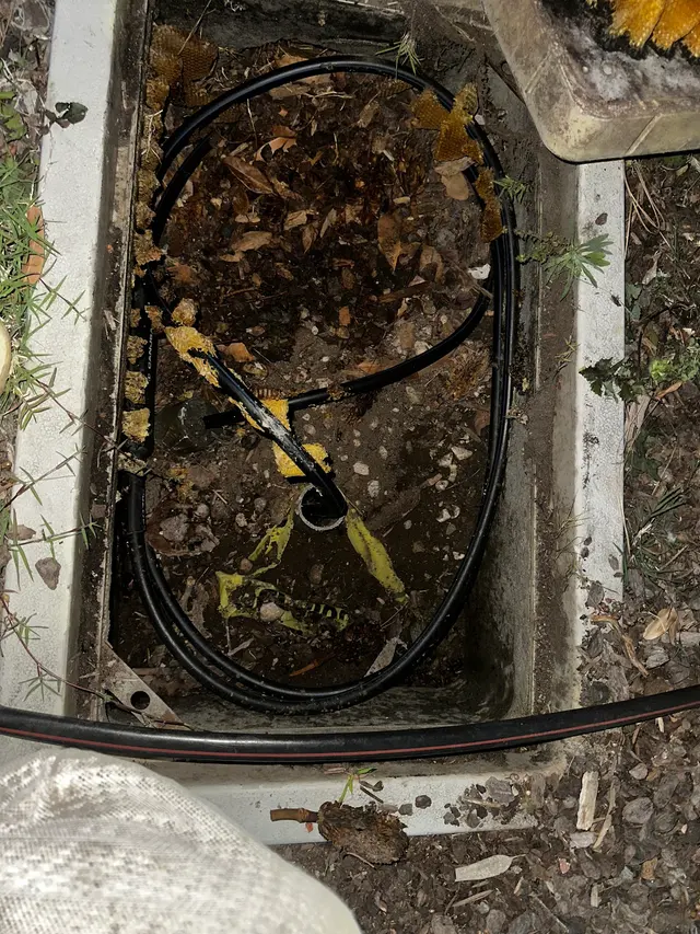 Coastal Bee Conservation — photo from the business 11