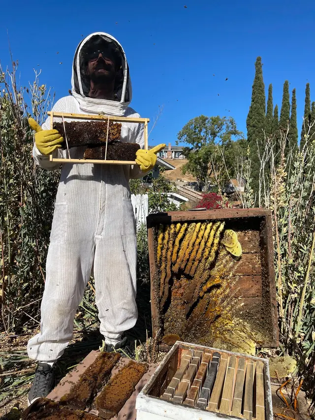 Coastal Bee Conservation — photo from the business 3