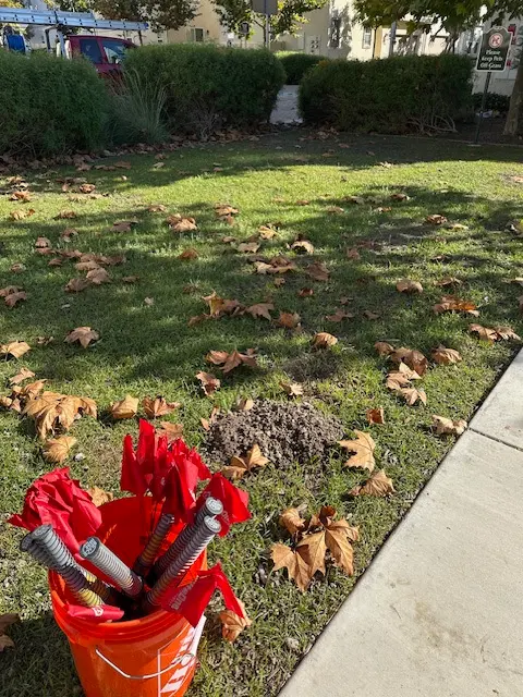 We Got Ya Pest Control ! — photo from the business 1