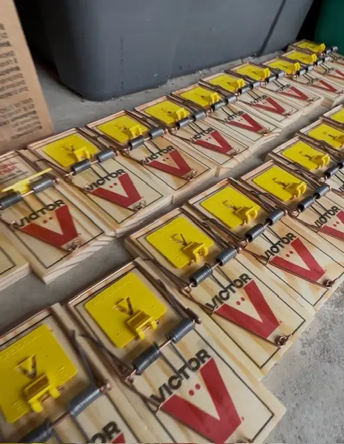 We Got Ya Pest Control ! — photo from the business 10