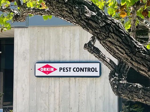 Orkin — photo from the business 12