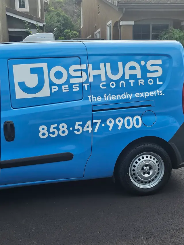 Customer photo from Guy's review