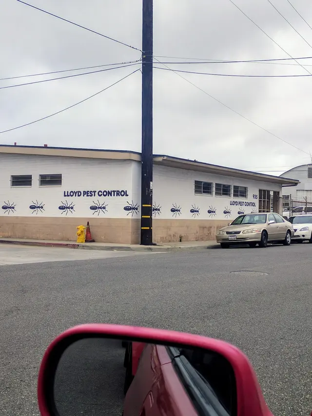 Lloyd Pest & Termite Control — customer photo 12