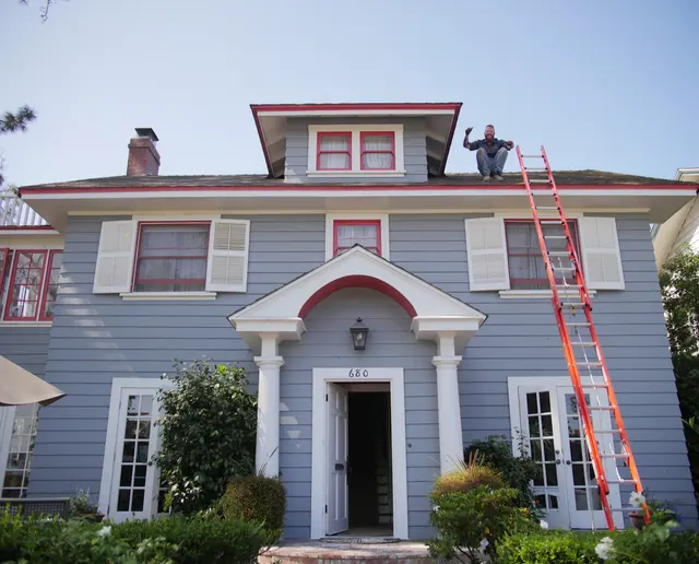 Alpha Wildlife Removal — photo from the business 6