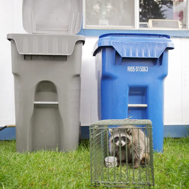 Alpha Wildlife Removal — photo from the business 5