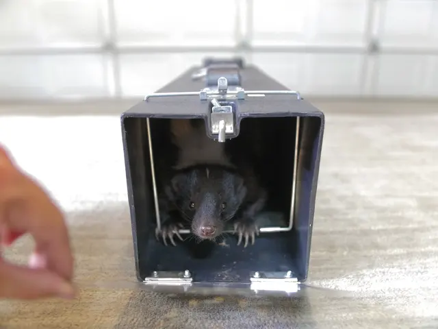 Alpha Wildlife Removal — photo from the business 11
